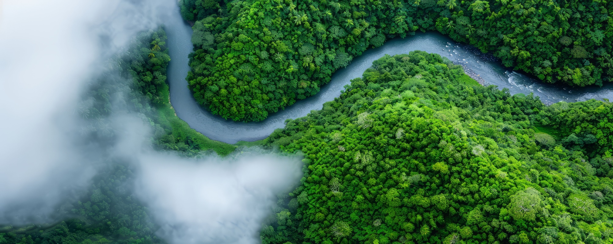 Paysage naturel illustrant les économies d’énergie